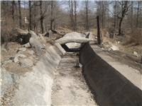 ����鿴����