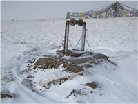 ����鿴����