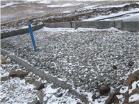 ����鿴����