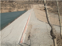 ����鿴����